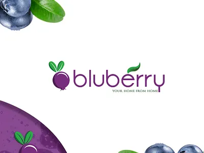 BLUBERRY design flat illustration logo minimal typography vector