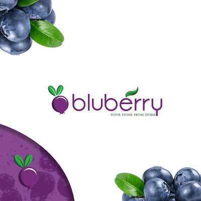 BLUBERRY design flat illustration logo minimal typography vector