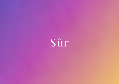 Sur - Skincare branding logo ui