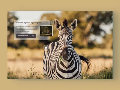 AR Zoo App for glasses ui