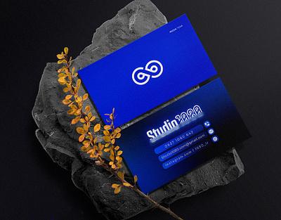 Visual Identity Design ... card identity logo logodesign logotype minimal trend visit visitcard visual