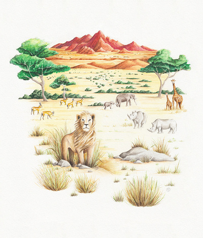 Earthwatch Environmental Non-Profit - Savannah Detail illustration nature illustration watercolor
