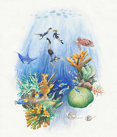Earthwatch Environmental Non-Profit - Coral Reef Detail coral reef illustration nature illustration ocean watercolor