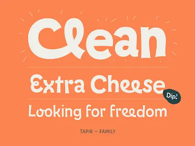 Tapir – Typeface branding design font fontdesign fonts hvd lettering type typedesign typeface typo typography