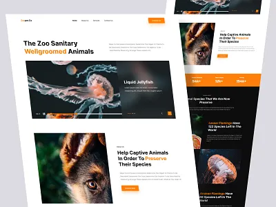 The Zoo - Mockup Web Design branding clean creative web dark mode design elegant landingpage modern popularweb professional trenddesign trending ui ui design uiux webdesign website websitedesign wildlife zoo