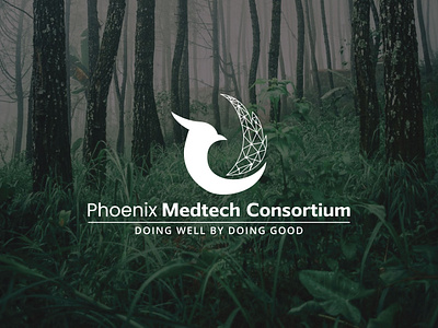 Phoenix logo design logo minimalist logo modern logo phoenix logo design