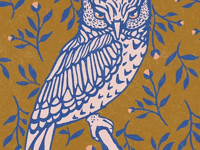 Owl animal illustration owl
