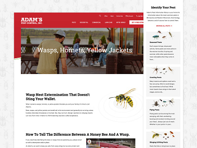 Adam's Pest Control design minnesota ui user experience ux web design website