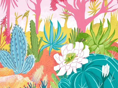 Colorful cactus garden america book illustration cactus design editorial flower forest garden illustration procreate tree tropical wildness