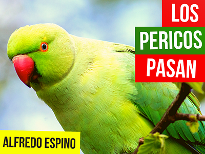 LOS PERICOS PASAN ALFREDO ESPINO 🦜⛅ | Jícaras Tristes antologia poetica