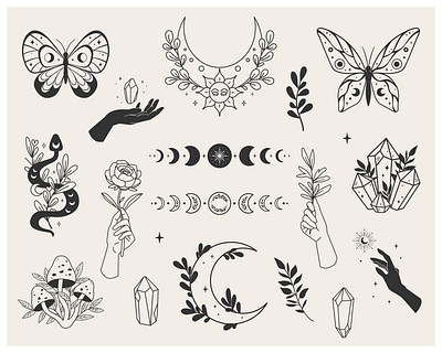 forest mystery set celestial forest graphic design hand illustration lineart nature plant vector