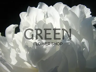 Green - Flower Shop app branding design graphic design illustration logo motion graphics ui ux vector