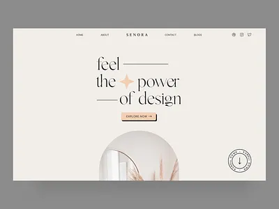 Senora aesthetic beuty branding clean design landing page minimal ui ux