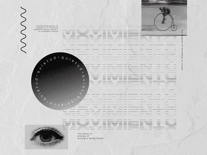 Quietness - Movement animation graphic design motion graphics