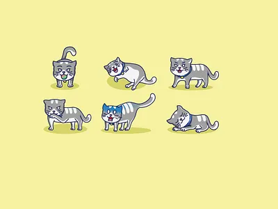 Cute Cat Bundle bundle cat cute illus illustration simple