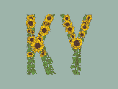 Sunflower KY flowers illustration kentucky nature sunflower sunflowers