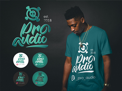 Proaudio branding caraudio corporate identity design graphic design logo logotype vector workshop