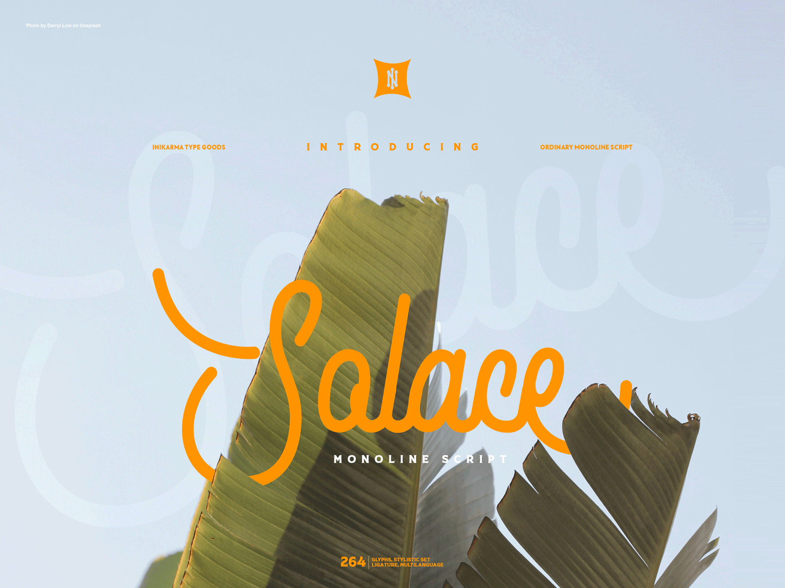 SOLACE MONOLINE SCRIPT design logo typo typography