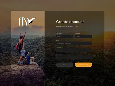 Fly branding graphic design logo ui