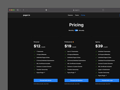 SaaS Pricing Page design designer landing plans pricing saas saas applicaition saas subscription saas subscription plan subscription ui ux web web app website