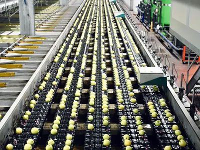 Replacement Conveyor Rollers Manufactures