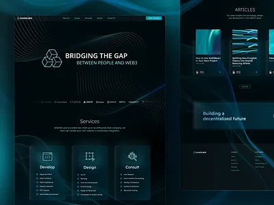 Linum Labs website design branding design logo typography ui ux web3