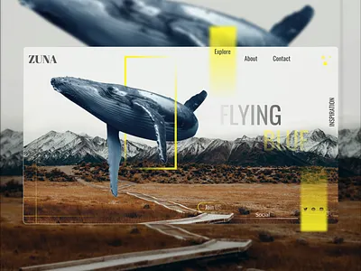 Flying Blue app design graphic design ui ux