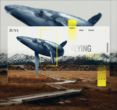 Flying Blue app design graphic design ui ux