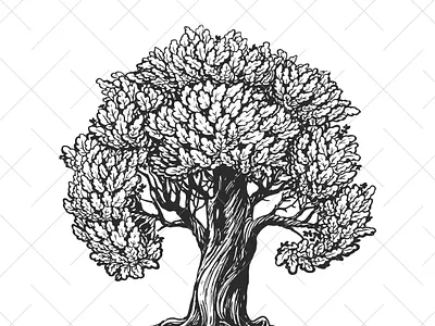 Vintage tree. Tree of life. branding design eco logo eco tree graphic design illustration logo money tree old tree simbol nature tree tree of life typography ui vector vintage tree
