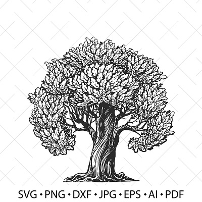 Vintage tree. Tree of life. branding design eco logo eco tree graphic design illustration logo money tree old tree simbol nature tree tree of life typography ui vector vintage tree