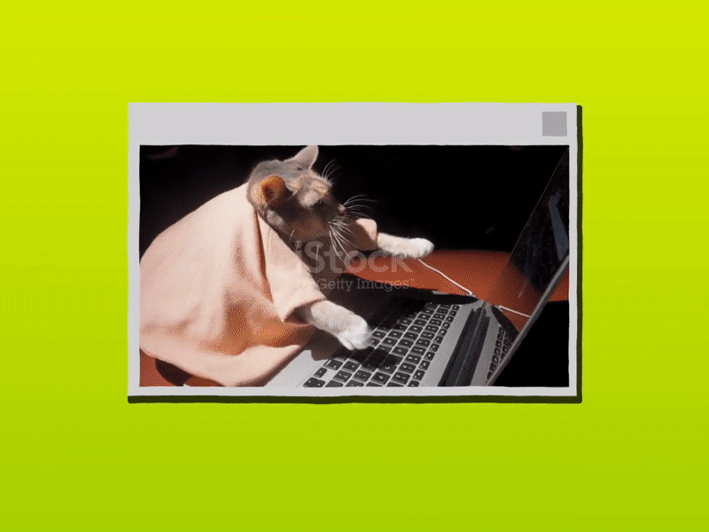 Sizzle Video animated gif animation errors glitch motion graphics video windows