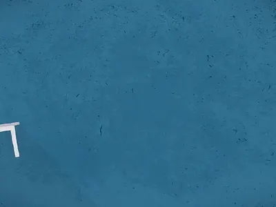 explainer video / Logo animation adobe aftereffects animation branding design digitalmarketing explainer illustration logo