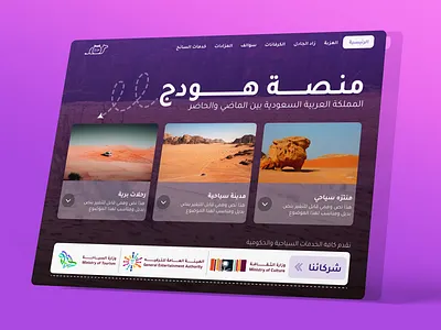 Domestic Tourism Agency Website design design graphic design ui ux