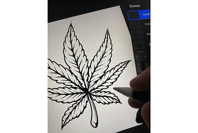 Cannabis leaf. Sketching in procreate cannabis illustration marijuana mj procreate sketch sketching