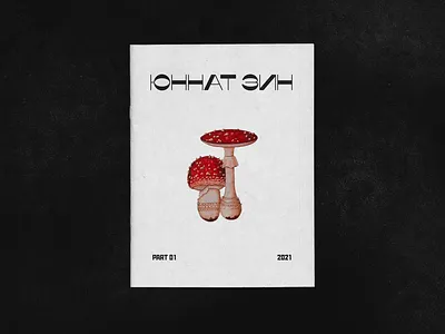 "Yunnat" zine design graphic design zine