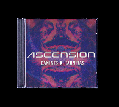 Album Cover Artwork