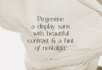 Argentine - Nostalgic Elegant Sans branding classic creative market design editorial font fonts graphic design logo design nostalgic packaging retro type design typeface typography ui