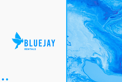 BlueJay Rentals Logo Design brand identity branding design graphic design logo