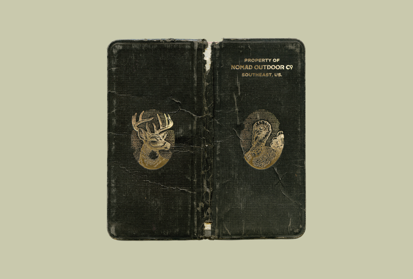 Example of Engraving Hand Drawn Illustration