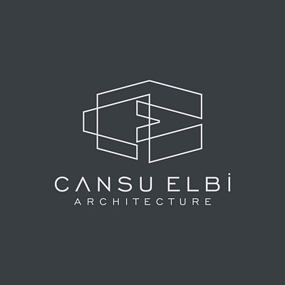 CANSU ELBİ ARCHITECTURE - Logo Design architect architecture brand branding design graphic graphic design illustrator logo vector