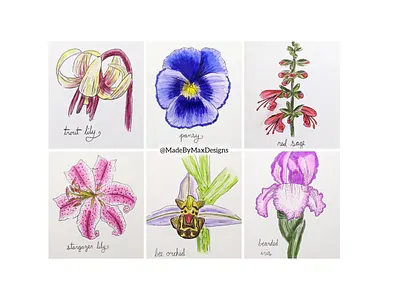 Botanical Flower Sketches art botanicals creative design drawing fineline flowers hand drawn illustration linework