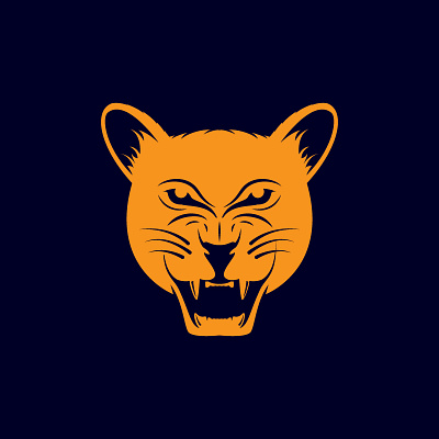 BIG CAT branding graphic design logo motion graphics