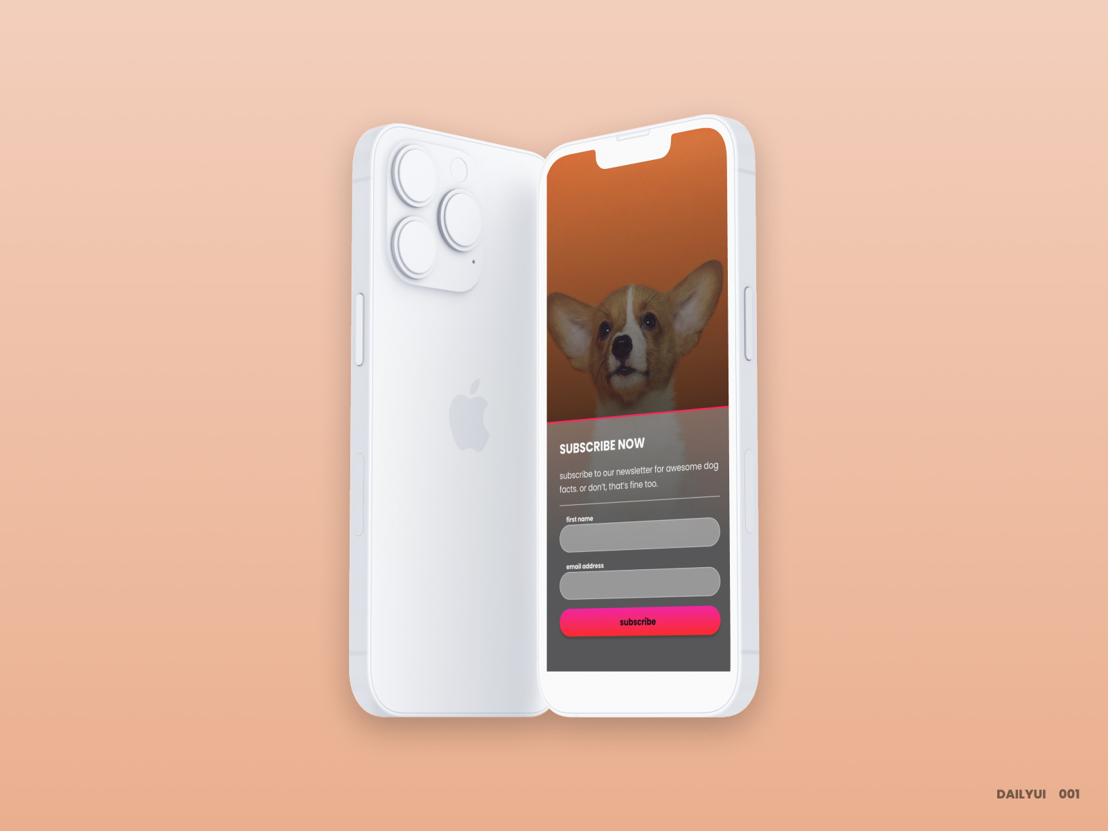 Example of Subscribe Form