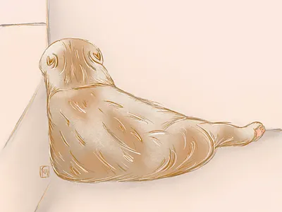 Angry branding design digital illustration graphic design illustration logo vector