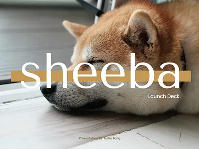sheeba || more than a dog pitch presentation shiba