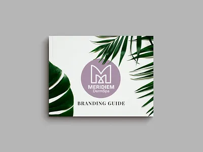 Meridiem DermSpa Branding Guide brand book brand design branding branding design branding guide design graphic design illustration logo logo design vector
