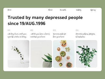 Calm Plants - website layout design calm interior keep calm landing page layout minimalist plants relax ui ux webdesign website white