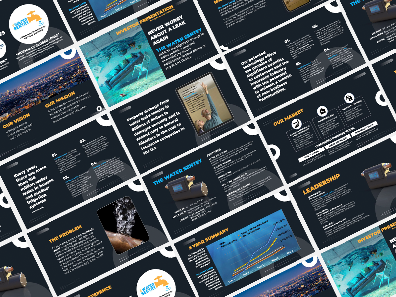 Example of The Water Sentry PP Presentation