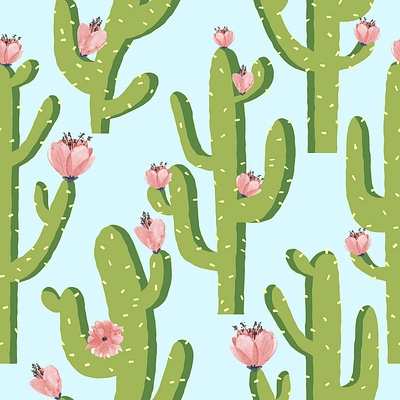 Summer Cactus succulents