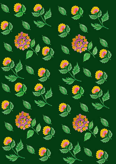 floral illustration pattern branding graphic design illustration ui